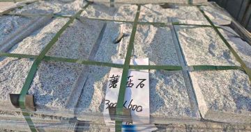 惠州芝麻白蘑菇石，自然面